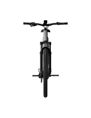 Elektrijalgratas TENWAYS AGO X Special Edition, 29" Silver