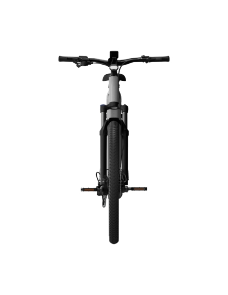 Elektrijalgratas TENWAYS AGO X Special Edition, 29" Silver