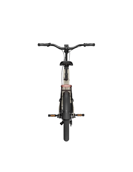 Electric bike TENWAYS CGO Compact