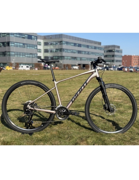 Jalgratas GIANT Roam 3, Shell White (M)