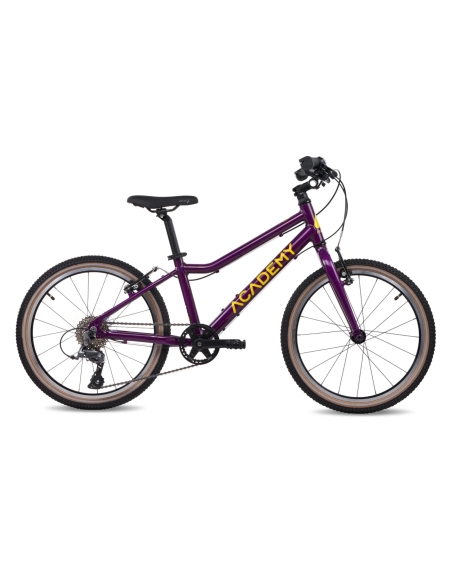 Ultralight children's bike ACADEMY Grade 4, 20" Purple